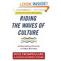 Riding the Waves of Culture: Understanding Diversity in Global Business - revised and updated third edition: Understanding Cultural Diversity in Business