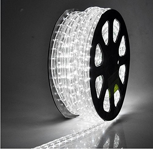 Grandey 32FT 50FT 65FT 98FT 150FT 295FT 2 Wire LED Rope Light Indoor Outdoor Home Holiday Valentines Party Restaurant Cafe Decor GRL-50-CW LED Rope Light(98FT, Cool White)