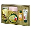 Boots Amazon Forest Selection Box