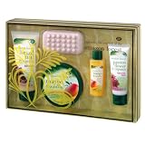 Boots Amazon Forest Selection Box