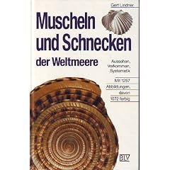 Muscheln und Schnecken der Weltmeere. Aussehen, Vorkommen, Systematik