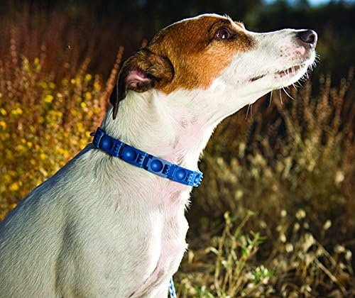 Perfect Dog Command Collar with Extra Links and DVD ,Small, Don Sullivan