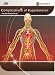Search : Complications of Hypertension: Pocket Reference (Cardiovascular Medicine)
