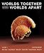 Books : Worlds Together, Worlds Apart: A History of the World: 1750 to the Present (Third Edition)  (Vol. C)