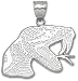 Florida A & M Rattlers Giant 1 3/4 W x 1 1/4 H Rattler Head Pendant - 14KT Gold Jewelry