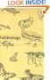 Folkbiology (Bradford Books)