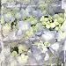 (12x12) Erin Clark Vintage Blossom Art Print Poster