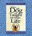 Search : What My Dog Has Taught Me About Life: Meditations for Dog Lovers [ILLUSTRATED] (Hardcover)