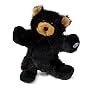 Lil Kinz Black Bear Small Ganz Webkinz
