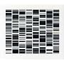 Test Pattern
