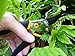 Bypass Hand Pruning Shears, Secateurs, Clippers. 8 inch. Rugged all Steel Construction.