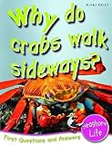 Why do crabs walk sideways?