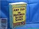 The Hundred Secret Senses (Vintage Contemporaries)