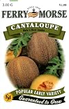 Ferry-Morse Seeds 1245 Cantaloupe - Hales Best Jumbo 3 Gram Packet