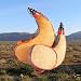Camping Large Goat Skin Wine Bota