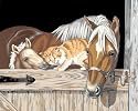 Stable Pals PBN
