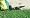 Draper Gardeninging Tools 37162 Swivel Blade Grass Shear