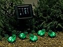 5 Solar powered frog garden lights