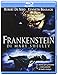 Frankenstein Di Mary Shelley