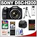 Sony Cyber-Shot DSC-H200 Digital Camera (Black) with 16GB Card + Batteries & Charger + Case + Tripod + Accessory Kit