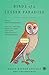 Birds of a Lesser Paradise: Stories