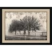 Morning Shades Wall Art - 28x40"