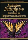 Audubon Butterfly: Essentials For Beginners & Gardeners