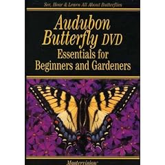 Audubon Butterfly: Essentials For Beginners & Gardeners by 