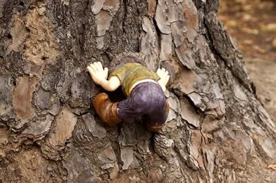 Lil Tree Orphans - Tom