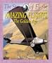 Amazing Flights: The Golden Age (Story of Flight)