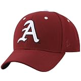 Zephyr Arkansas Razorbacks Cardinal DH Fitted Hat