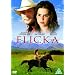 Horse Films For Horse Lovers