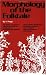 Morphology of the Folk Tale