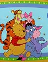 Disney Winnie The Pooh & Friends Twin plush throw blanket