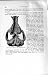 Under-Surface Skull Nesodon Natural History 1894 Print
