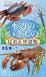 水辺のいきもの 1BOX (食玩)