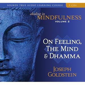 Abiding in Mindfulness: On Feeling, the Mind and Dhamma by Joseph Goldstein