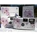 10 Pack Lavender Orchid Wedding Disposable 35mm Cameras in Gift Boxes with Matching Tents 27exp.