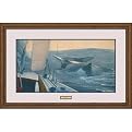 Voyaguers Framed Print By Randall Scott