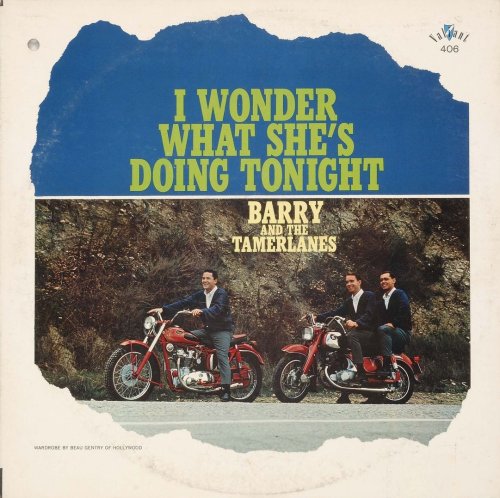 Barry and the Tamerlanes - The Rock 