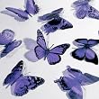 Butterfly 3D Translucent Decoration 12 LAVENDAR Butterflies