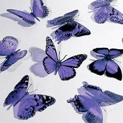 Butterfly 3D Translucent Decoration 12 LAVENDER Butterflies