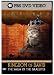 Empires - The Kingdom of David - The Saga of the Israelites
