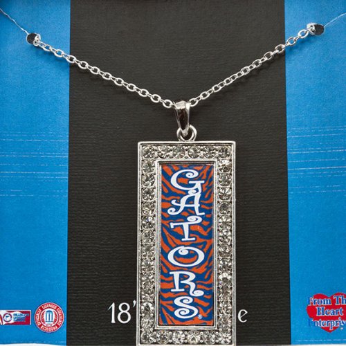 Silver toned 18 inch necklace with orange and blue zebra print Gators pendant surrounded by czs, University of Florida