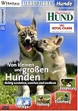 Eigenschaften Filmhaus Wiesbaden GmbH  / Liebe Tiere ! - Hunde: Von kleinen und großen Hunden