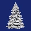 10' Pre-Lit Flocked Alaskan Artificial Christmas Tree - Clear Dura Lights