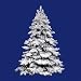 9' Pre-Lit Flocked Alaskan Artificial Christmas Tree - Clear Dura Lights