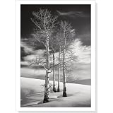 Ode to Winter Holiday Boxed Cards (Christmas Cards, Holiday Cards, Greeting Cards)