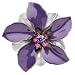 Karin's Garden Enamel & Leather, Swarovski Crystal Ctr. Pin-clip Duo: Click to See Ot...