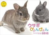 2010ウサギぴょんぴょん(Yama-Kei Calendar)